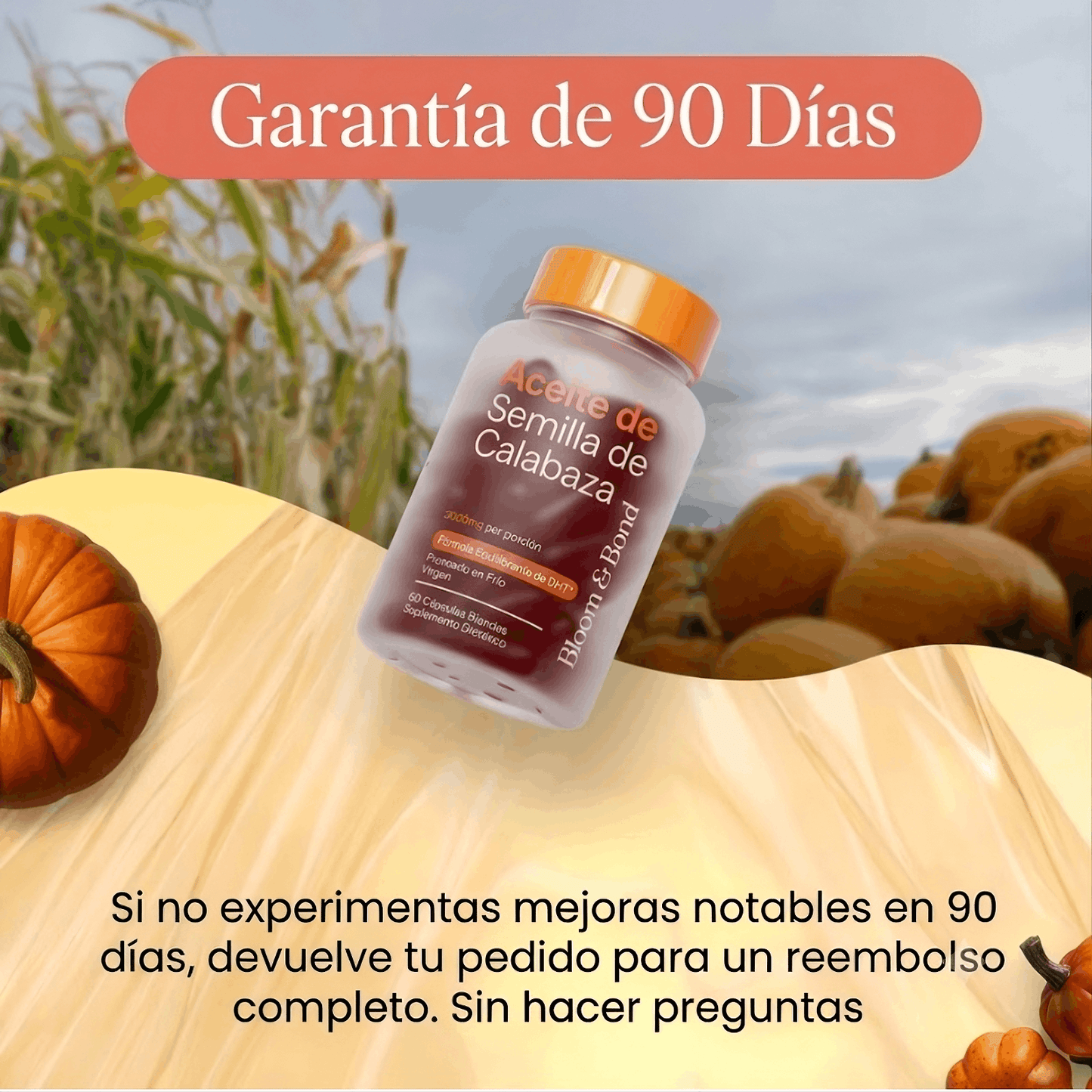 CapilNova