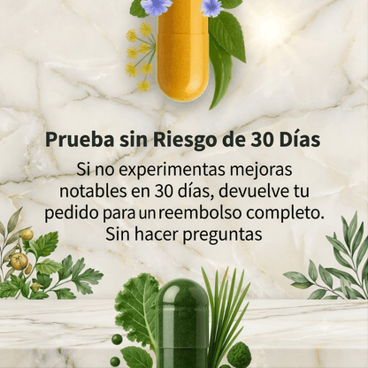 Digestia